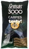Sensas Hrană 3000 Carp Tasty 1 kg Miere
