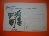 HOPCT 448 V PODGORENI MANA VIILOR - CARTE POSTALA -BULETIN AVERTIZARE -MINISTERUL AGRICULTURII-NECIRCULATA