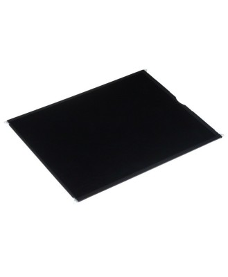 Ecran LCD Display Apple iPad Air foto
