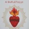 Lumina divina a sufletului - Ileana Frandes