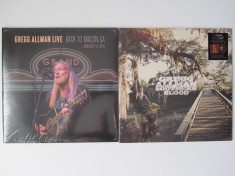 2 Gregg Allman Disc-Discuri LP Lot-Colectie Vinyl-Vinil Rock-Folk-Country NOU foto