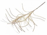 Cumpara ieftin Creanga artificiala cu sclipici auriu 90 cm