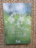 PUTEREA PREZENTULUI GHID PRACTIC - ECKHART TOLLE