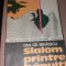 DAN GR. MIHAESCU - SLALOM PRINTRE BANUITI/TD