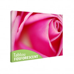 Tablou fosforescent Trandafir perfect foto