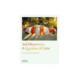 Joel Meyerowitz: A Question of Color
