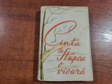 Canta la Stupca o vioara de C.Ghiban