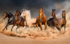 Fototapet autocolant Cai in furtuna de nisip, 250 x 150 cm