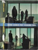 Caseta Skunk Anansie &lrm;&ndash; Post Orgasmic Chill, originala