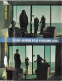 Caseta Skunk Anansie &lrm;&ndash; Post Orgasmic Chill, originala, Casete audio