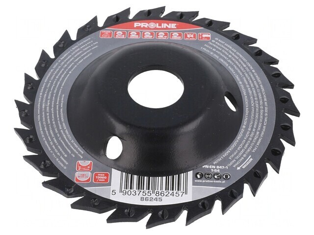 Grinding Wheel 115mm with Rasp