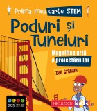 Prima mea carte Stem: Poduri si tuneluri. Magnifica arta a proiectarii lor -, Niculescu
