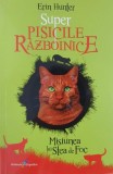 Super pisicile razboinice, vol. 1. Misiunea lui Stea de Foc - Erin Hunter