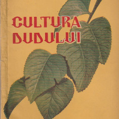 E. CRAICIU - CULTURA DUDULUI ( 1958 )