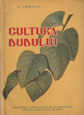 E. CRAICIU - CULTURA DUDULUI ( 1958 ) foto