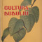 E. CRAICIU - CULTURA DUDULUI ( 1958 )