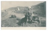 372 - SHEPHERD,ETHNIC, Romania - old postcard - unused