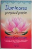 Iluminarea pe intelesul prostilor &ndash; Anne Cushman