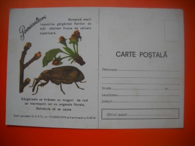 HOPCT 448 W POMICULTORI /GARGARITELE -ANUL 1979 CARTE POSTALA -BULETIN AVERTIZARE -MINISTERUL AGRICULTURII-NECIRCULATA foto