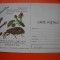 HOPCT 448 W POMICULTORI /GARGARITELE -ANUL 1979 CARTE POSTALA -BULETIN AVERTIZARE -MINISTERUL AGRICULTURII-NECIRCULATA