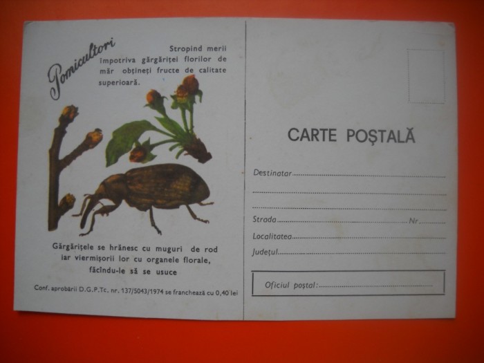 HOPCT 448 W POMICULTORI /GARGARITELE -ANUL 1979 CARTE POSTALA -BULETIN AVERTIZARE -MINISTERUL AGRICULTURII-NECIRCULATA