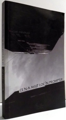 CE N-A AVUT LOC IN PROMPTER de LUCIAN MANDRUTA , 2008 foto