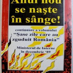 ANUL NOU SE NASTE IN SANGE ! - CONTINUARE A VOLUMULUI " SASE ZILE CARE AU ZGUDUIT ROMANIA " , PLEDOARIE PENTRU ISTORIE , VOLUMUL II de IOAN PITULESCU