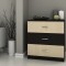 Comoda 3 Sertare, Wenge + Mesteacan