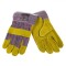 Mănuși Grădinărit, TOOLS, BCB5A7, Piele Artificială, Mărime 10, Multicolor