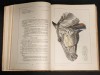 Vol. 1+2 ATLAS de ANATOMIE VETERINARA COMPARATIVA I II cu autograf Vasile Ghetie MEDICINA 1436 pag Format mare 34x25x8,5cm 6,7kg Tiraj mic Pastea Riga
