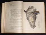 Vol. 1+2 ATLAS de ANATOMIE VETERINARA COMPARATIVA I II cu autograf Vasile Ghetie MEDICINA 1436 pag Format mare 34x25x8,5cm 6,7kg Tiraj mic Pastea Riga