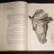 Vol. 1+2 ATLAS de ANATOMIE VETERINARA COMPARATIVA I II cu autograf Vasile Ghetie MEDICINA 1436 pag Format mare 34x25x8,5cm 6,7kg Tiraj mic Pastea Riga