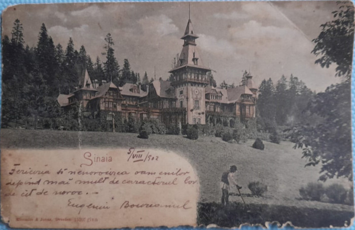 1902 CP Sinaia, Peles, animata, trimisa de scriitorul Eugeniu Boureanul la Blaj