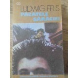 PACATELE SARACIEI-LUDWIG FELS-117774