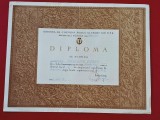 Diploma Sportiva acordata jucatoarei de Baschet VIORICA NICULESCU - Clubul Sportiv "STIINTA" Bucuresti 12.05.1963
