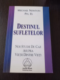 Michael Newton - Destinul sufletelor