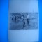 HOPCT 456 M-PE CAMP-1961-PROF.AC.SERBAN DRAGOMIRESCU.FOCSANI-FOTOGRAFIE TIP CP