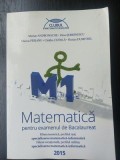 Matematica pentru examenul de Bacalaureat- Marian Andronache, Dinu Serbanescu