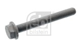 FEBI BILSTEIN 107696 Surub, placa de presiune