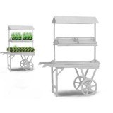 Suport cu roți pentru ghivece Ibergarden Alb Lemn de brad 118 x 176,5 x 58 cm