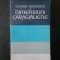 SILVIAN IOSIFESCU - DIMENSIUNI CARAGIALIENE