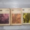 Tom Jones vol.1,2 si 3 de H.Fielding