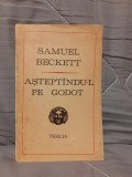 ASTEPTANDU-L PE GODOT-SAMUEL BECKETT