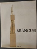 IONEL JIANU (JIANOU): CONSTANTIN BRANCUSI (EDITURA DACIA, 2003) [LIMBA ROMANA]