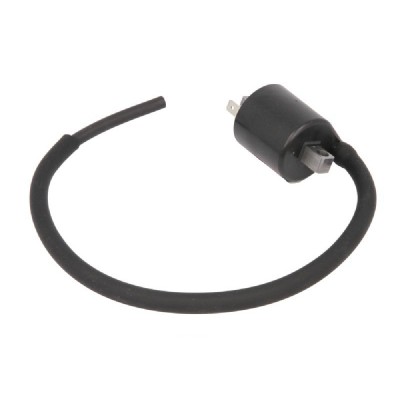 Bobina Inductie SUZUKI DL SV VL 650/800 2001-2009 foto