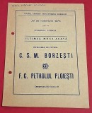 Program Meci Fotbal CSM Borzești - Petrolul Ploiești, 25.11.1976. Fan Zone, Colecție