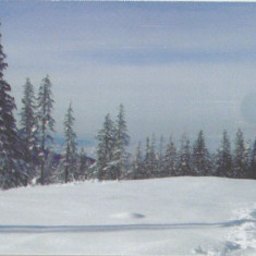 România, peisaj de iarnă, cartelă telefonică Romtelecom, 2008