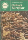 Cultura buretilor - Nicolae Mateescu