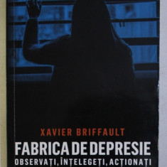 FABRICA DE DEPRESIE - OBSERVATI , INTELEGETI , ACTIONATI de XAVIER BRIFFAULT , 2019