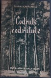 Cumpara ieftin FLORIN IORDACHESCU - CODRULE, CODRUTULE (POVESTIRI PENTRU COPII / EDITURA AGROSILVICA DE STAT, 1957)